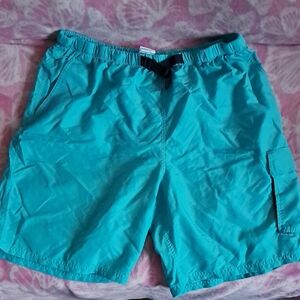 Nike Men's Teal Swim Trunks with Drawstring